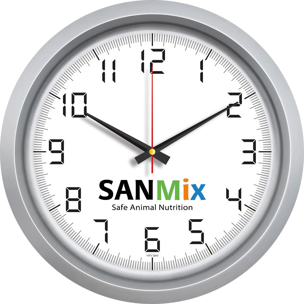 Logo Baskılı Promosyon Plastik Duvar Saati V30-551-G - 551 g